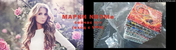 ECSTASY Новодвинск