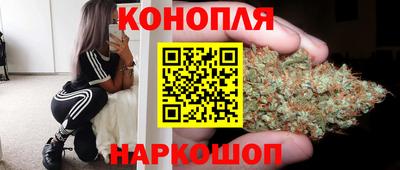 гидра Камышлов