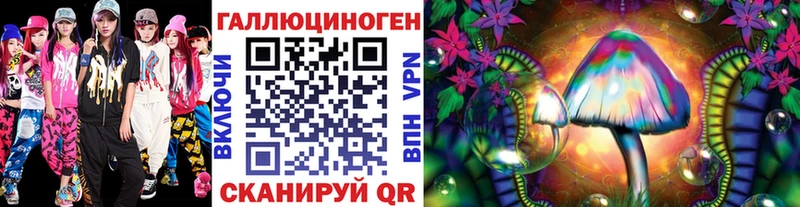 mega вход  Нарткала  Галлюциногенные грибы Psilocybine cubensis 