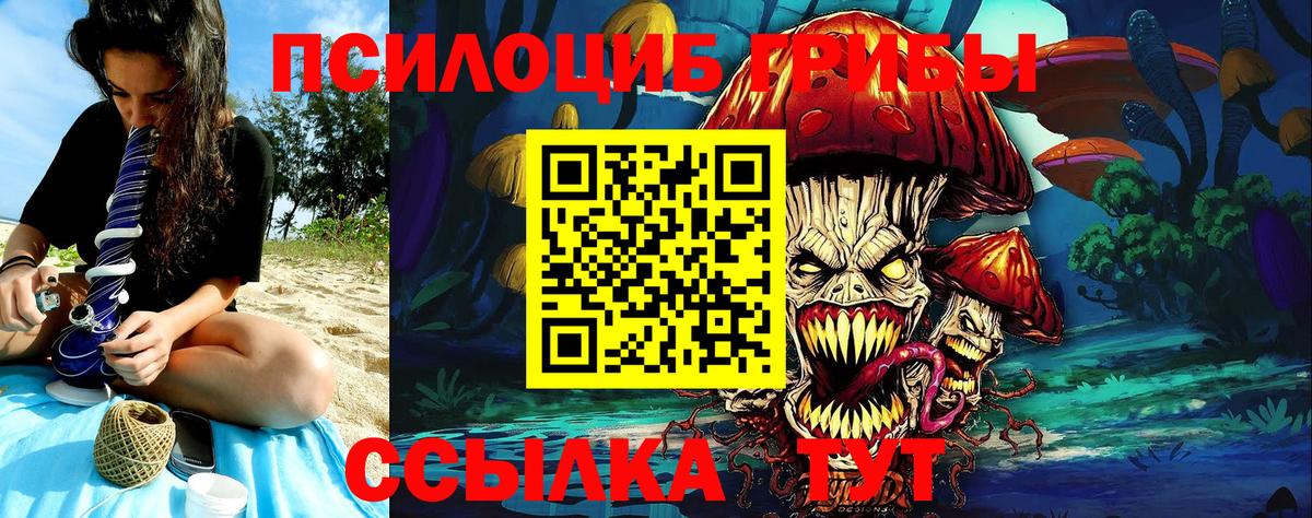 Псилоцибиновые грибы Magic Shrooms  Галлюциногенные грибы GOLDEN TEACHER  Нарткала 