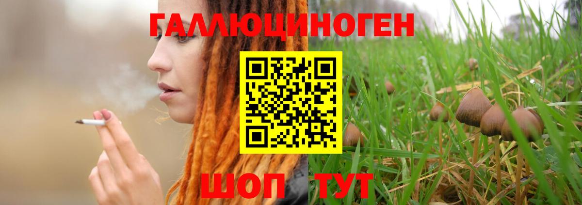 Псилоцибиновые грибы GOLDEN TEACHER  Вход с VPN  Нарткала 